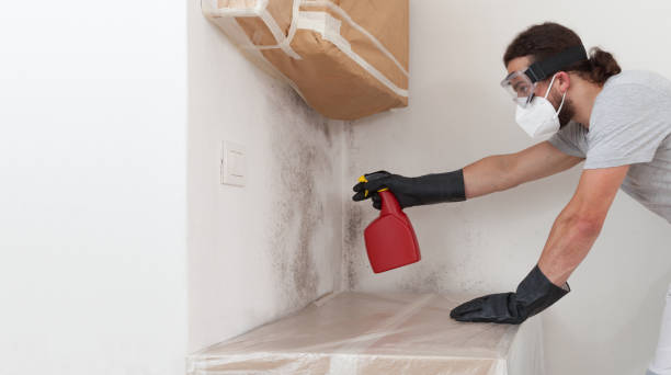 Professional Black Mold Remediation technician working in Centreville, MI