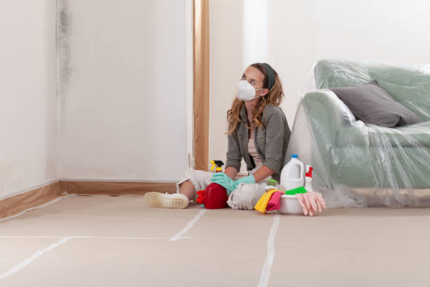 Reliable Black Mold Remediation contractor in Centreville, MI by Car Mold Remediation